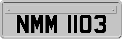 NMM1103
