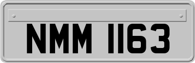 NMM1163