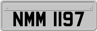 NMM1197
