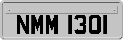 NMM1301