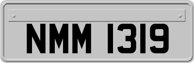 NMM1319