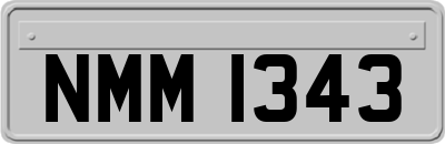 NMM1343