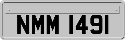 NMM1491