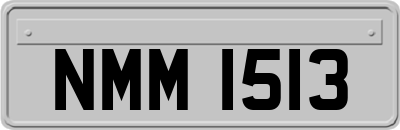 NMM1513