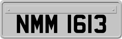 NMM1613