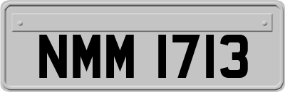 NMM1713