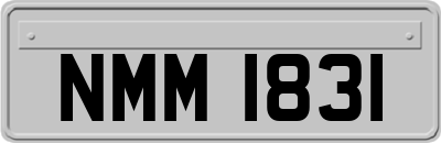 NMM1831