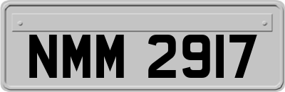 NMM2917