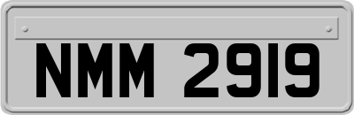 NMM2919