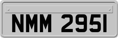 NMM2951