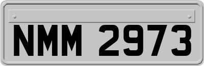 NMM2973