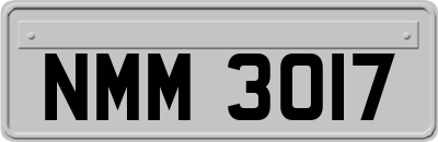 NMM3017