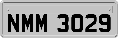 NMM3029
