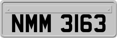 NMM3163