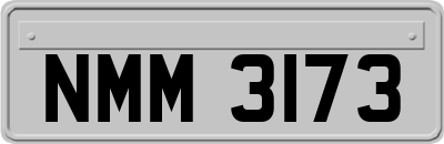 NMM3173