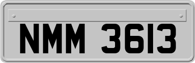 NMM3613