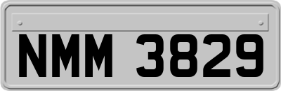 NMM3829