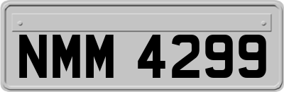 NMM4299