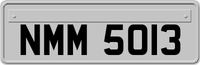 NMM5013