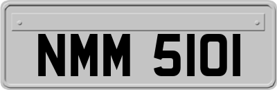 NMM5101