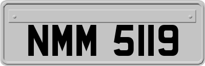 NMM5119