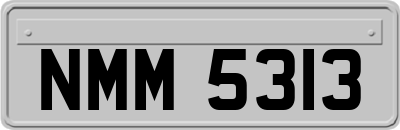 NMM5313