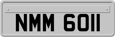 NMM6011