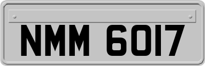 NMM6017
