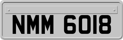 NMM6018