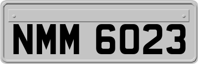 NMM6023