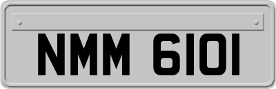NMM6101
