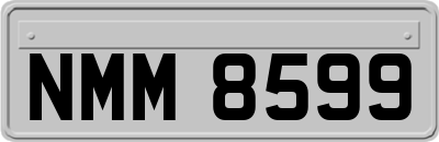 NMM8599