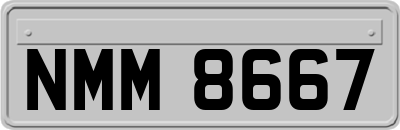 NMM8667