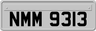 NMM9313