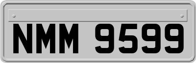 NMM9599