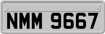 NMM9667