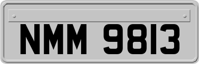 NMM9813
