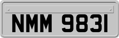 NMM9831