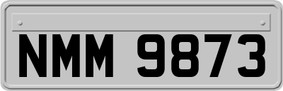 NMM9873