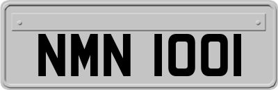 NMN1001