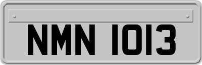 NMN1013