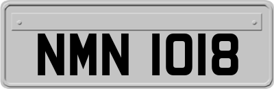 NMN1018