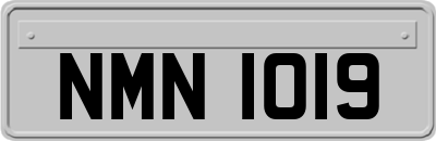 NMN1019