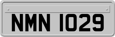 NMN1029