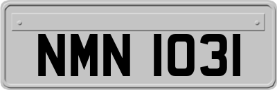 NMN1031