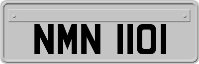 NMN1101
