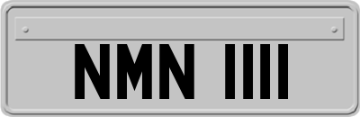 NMN1111