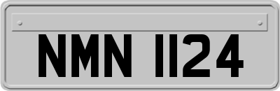NMN1124