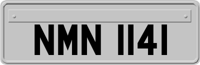 NMN1141