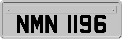 NMN1196